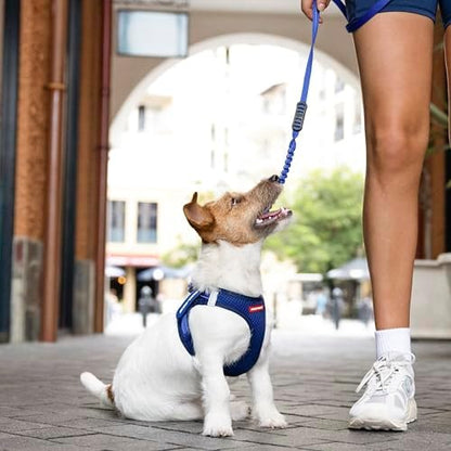 EzyDog FORMFIT Step in Dog Harness - Image 7