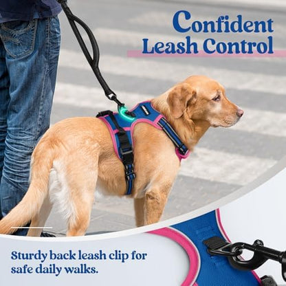 rabbitgoo Dog Harness, No Pull for Large Dogs - Image 6