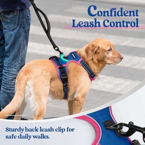 rabbitgoo Dog Harness, No Pull for Large Dogs - Image 6