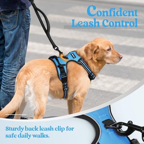 rabbitgoo Dog Harness, No Pull Medium Sized - Image 6