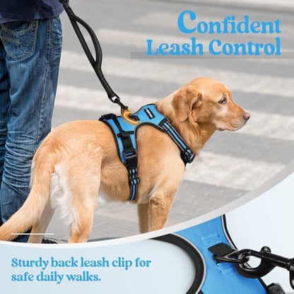 rabbitgoo Dog Harness, No Pull Medium Sized - Image 6