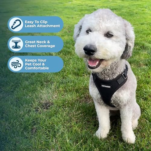 Voyager Step-in Pet Harness - Image 5