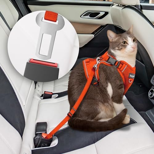 Cat Harness, Cat Harness and Leash - Image 5