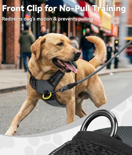 Joytale No Pull Dog Harness Medium Sized Dog, Front Clip - Image 2