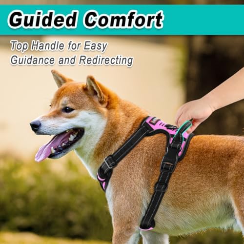 BARKBAY Dog Harness for Large Dog No Pull 2 Leash Clips Dog Vest - Image 4