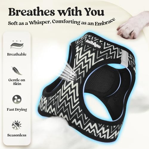 rabbitgoo Dog Harness Medium Sized and Leash Set, Step-in Puppy Pet Vest - Image 4