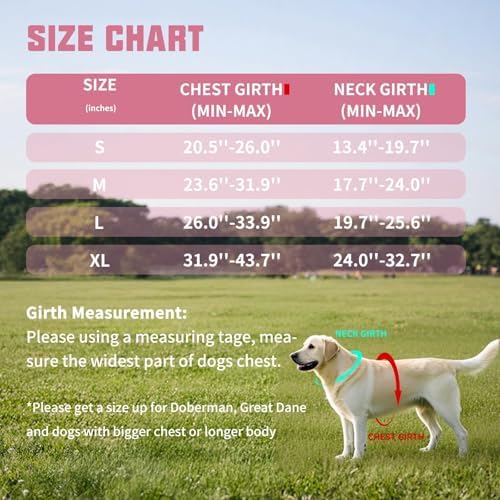 AUROTH Dog Harness and Leash Set - Image 6