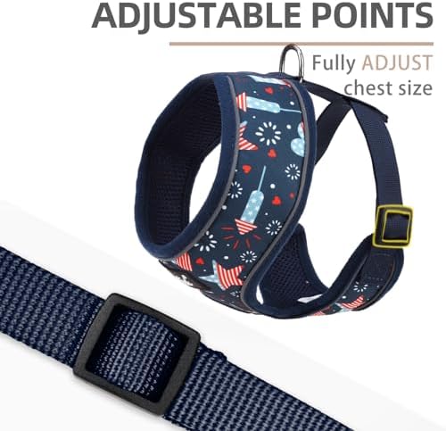 PUPTECK Small Dog Harness and Leash Set No Pull - Image 3