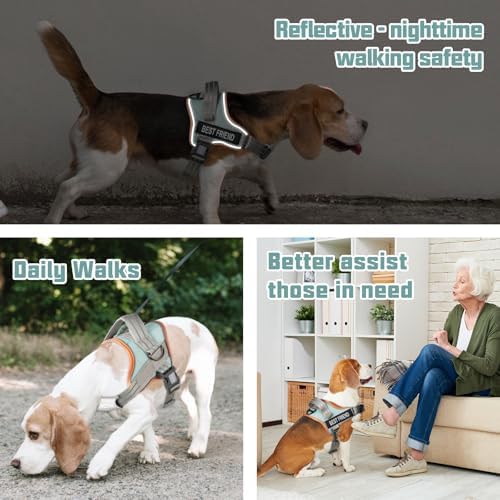 AUROTH Dog Harness and Leash Set - Image 2