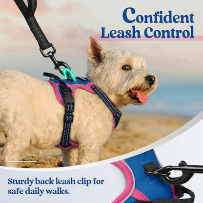 rabbitgoo Dog Harness, No Pull for Small Dogs - Image 6