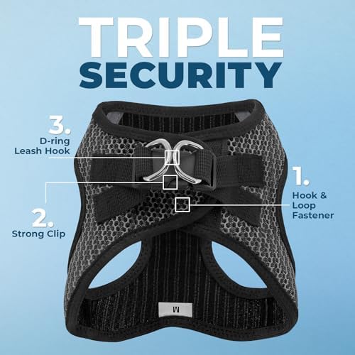 Voyager Step-in Air Dog Vest Harness - Image 2