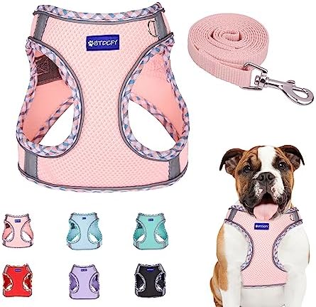 Step in Mesh Dog Harness and Leash Set Breathable Air Mesh Harness by BTDCFY