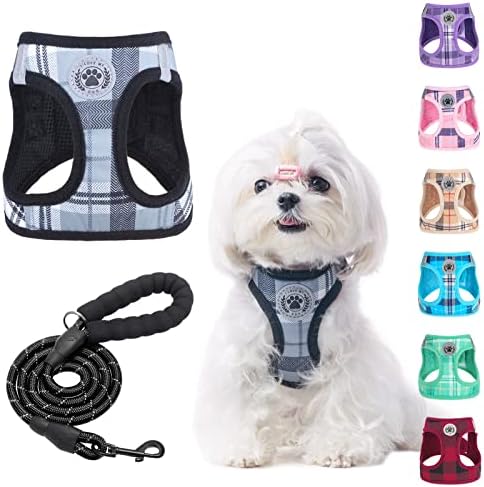 BEAUTYZOO Small Dog Harness and Leash Set, No Pull Puppy Pet Vest- Gray by BEAUTYZOO