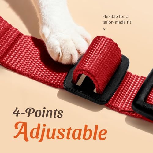 Dooradar Cat Harness and Leash Set, Adjustable and Escape Proof - Image 3