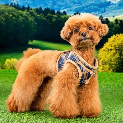 Puppia Corwin Dog Vest Harness B Fashionable Checkered Pattern Spring Summer - Image 3