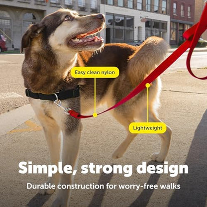 PetSafe Nylon Dog Leash - Image 4