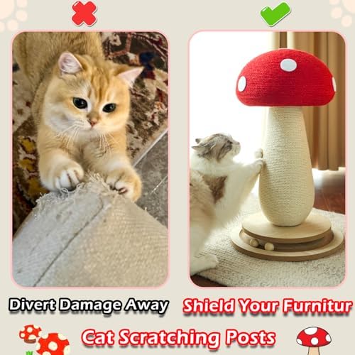Whimsical Mushroom Cat Scratcher - Image 4