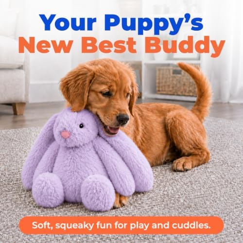 Best Pet Supplies Bunny Buddy Squeaky Plush Dog Toy - Image 2
