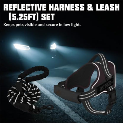 AUROTH Dog Harness and Leash Set - Image 5