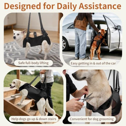 Mayerzon Full Body Dog Lift Harness, Support Senior & Disabled Dogs Walking - Image 6