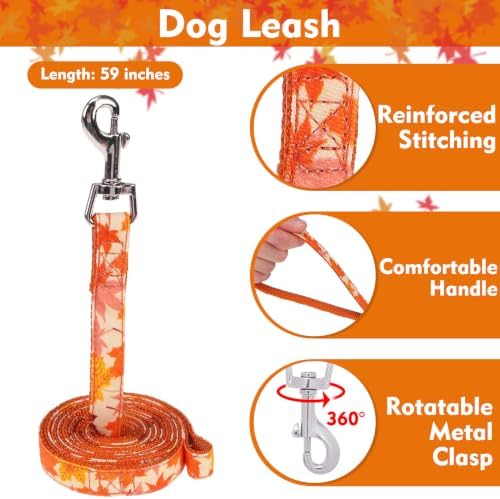 EXPAWLORER Fall Dog Harness and Leash Set Small Sized - Image 5