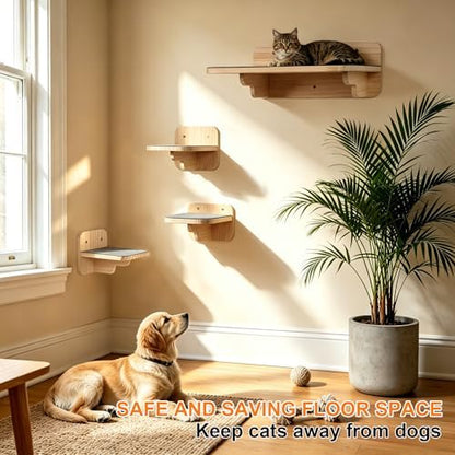 Cat Wall Shelves - Image 5