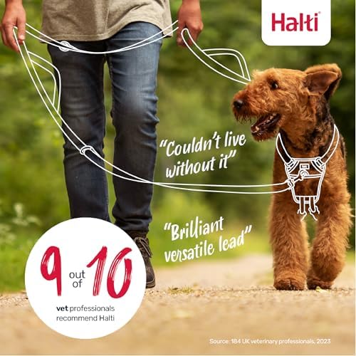 Halti Control Leash for Dogs | Black, 2m Length - Image 6