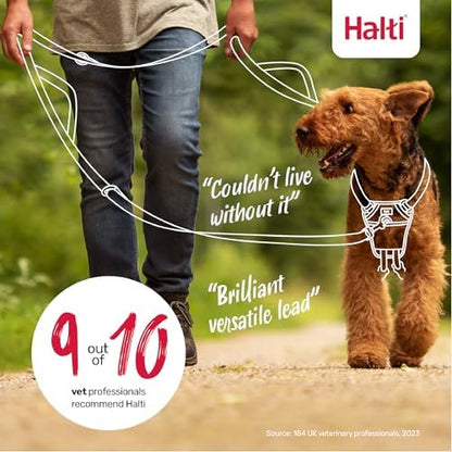 Halti Control Leash for Dogs | Black, 2m Length - Image 6