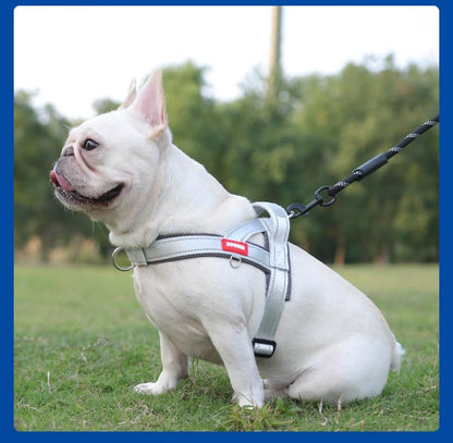 Dog Harness, No Pull Dog Harness, Adjustable Soft Harness - Image 2