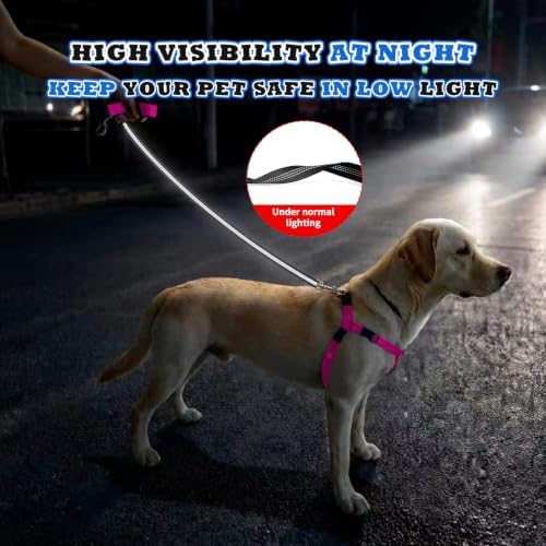 Freedom No Pull Dog Harness - Image 6