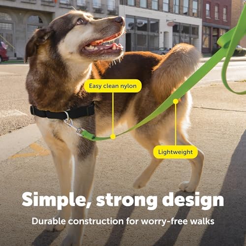 PetSafe Nylon Dog Leash - Image 4