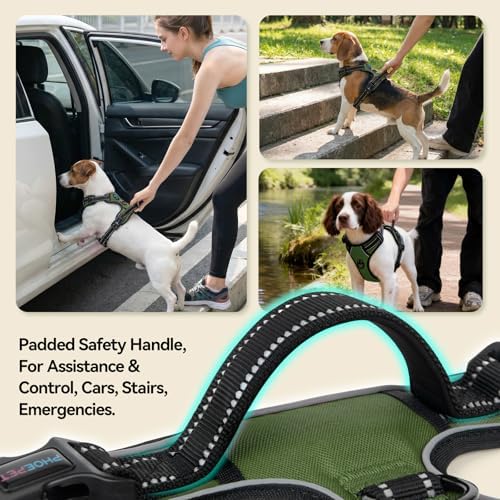 PHOEPET No Pull Dog Harness - Image 4