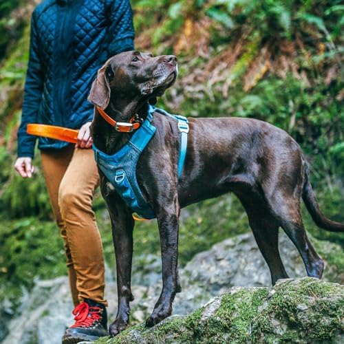 Kurgo Journey Air Dog Harness - Image 5