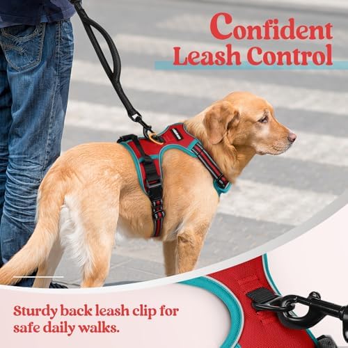 rabbitgoo Dog Harness, No Pull for Large Dogs - Image 6