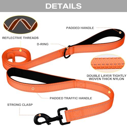Joytale Dog Leash for Large Dogs that Pull, Double Handle - Image 3