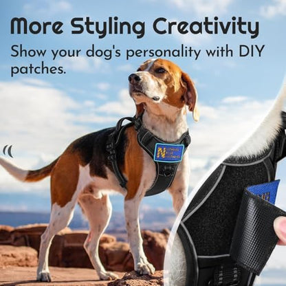 Eagloo Dog Harness No Pull for Medium Dogs, Easy On & Off - Image 3