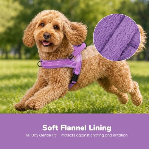 Didog No Pull Dog Harness for Small Dogs, Soft Flannel Padded - Image 2