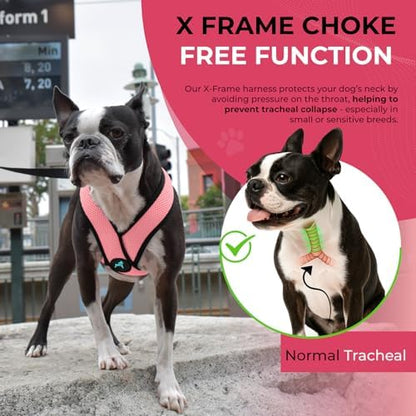 Gooby Comfort X Head-in Dog Harness, Choke-Free - Image 6