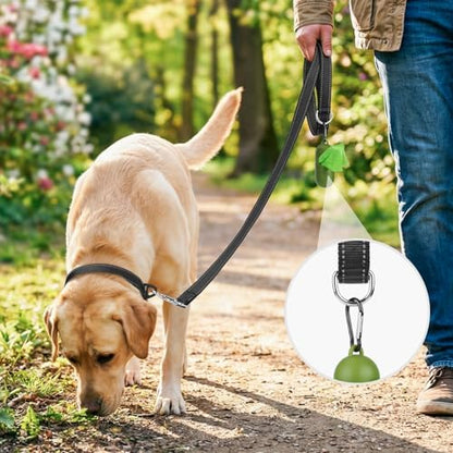 Joytale Reflective Dog Leash for Medium & Large Dogs, 6 FT x 1" - Image 2