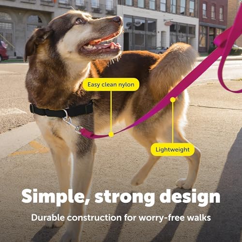 PetSafe Nylon Dog Leash - Image 4
