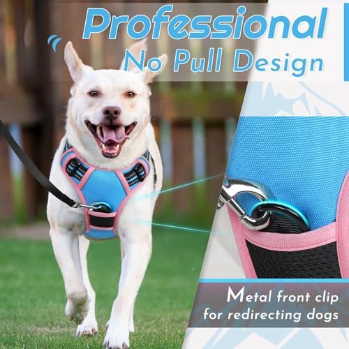Eagloo Dog Harness for Small Dogs, No Pull Pet Vest - Image 3
