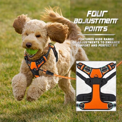 BARKBAY Dog Harness No Pull for Small Sized Dog Front Back Clips, Dog Vest - Image 6