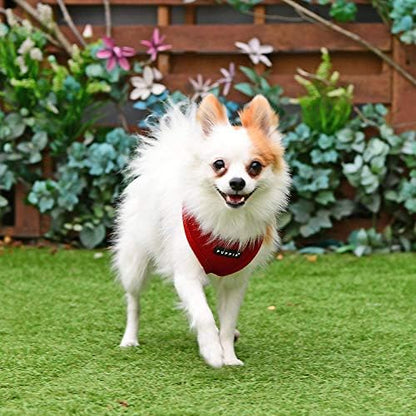 Puppia Soft Dog Harness - Image 5