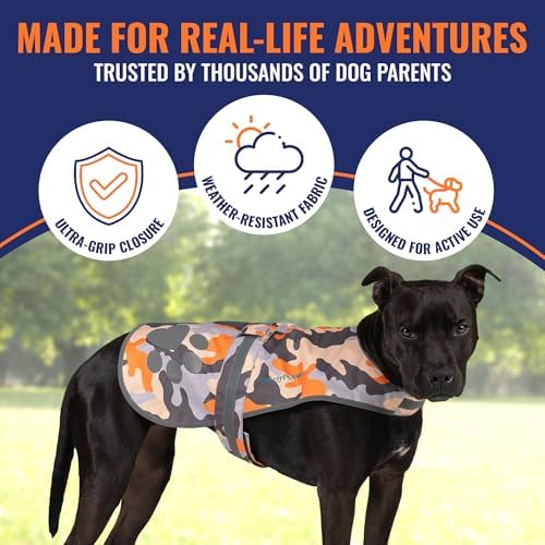 Reflective Dog Vest, Hi Vis Safety Gear - Image 4