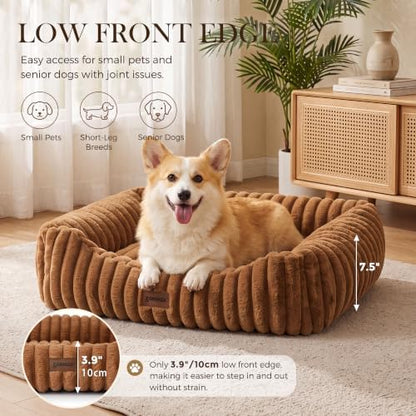 ZOMISIA Orthopedic Large Cat Bed - Image 4