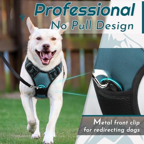 Eagloo Dog Harness for Small Dogs, No Pull Pet Vest - Image 3