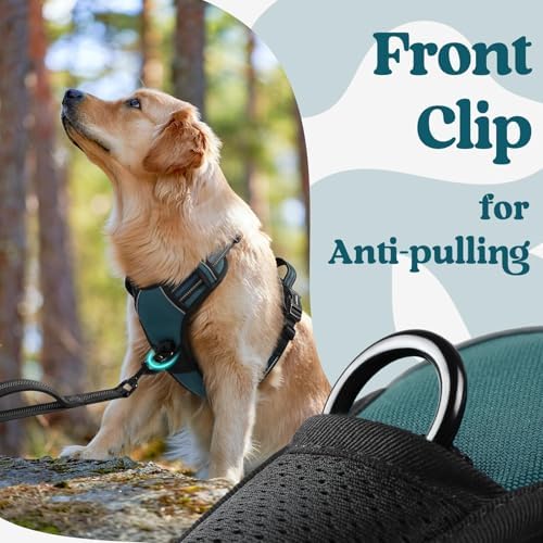 rabbitgoo Dog Harness for Large, Updated Easy On & Off - Image 6