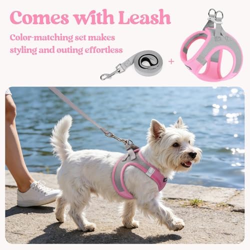 rabbitgoo Dog Harness Small Sized and Leash Set, Step-in Puppy Pet Vest - Image 5