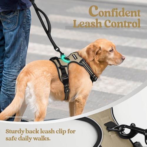 rabbitgoo Dog Harness, No Pull for Small Dogs - Image 6