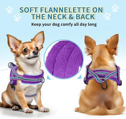 SlowTon No Pull Small Dog Harness and Leash Set - Image 2